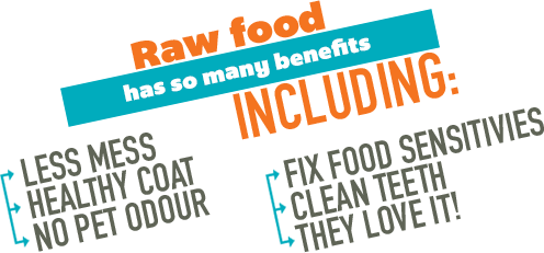 Benefits of Raw Pet Food: Less Mess, Healthy Coat, No Odour, Fix Food Sensitivites, Clean Teeth, They Love It