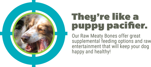 Raw Meaty Bones - Like a Puppy Pacifier
